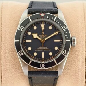 Tudor Black Bay 79230N