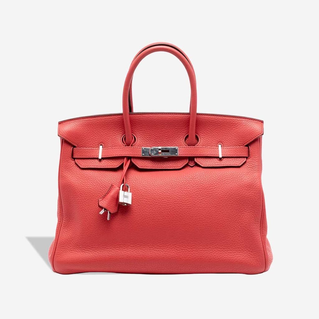 Birkin 35 Clémence Bougainvillier